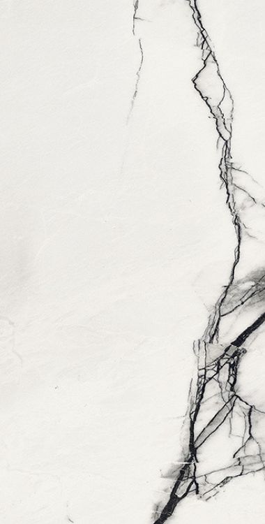 B&W Breach Naturale 12 x 24